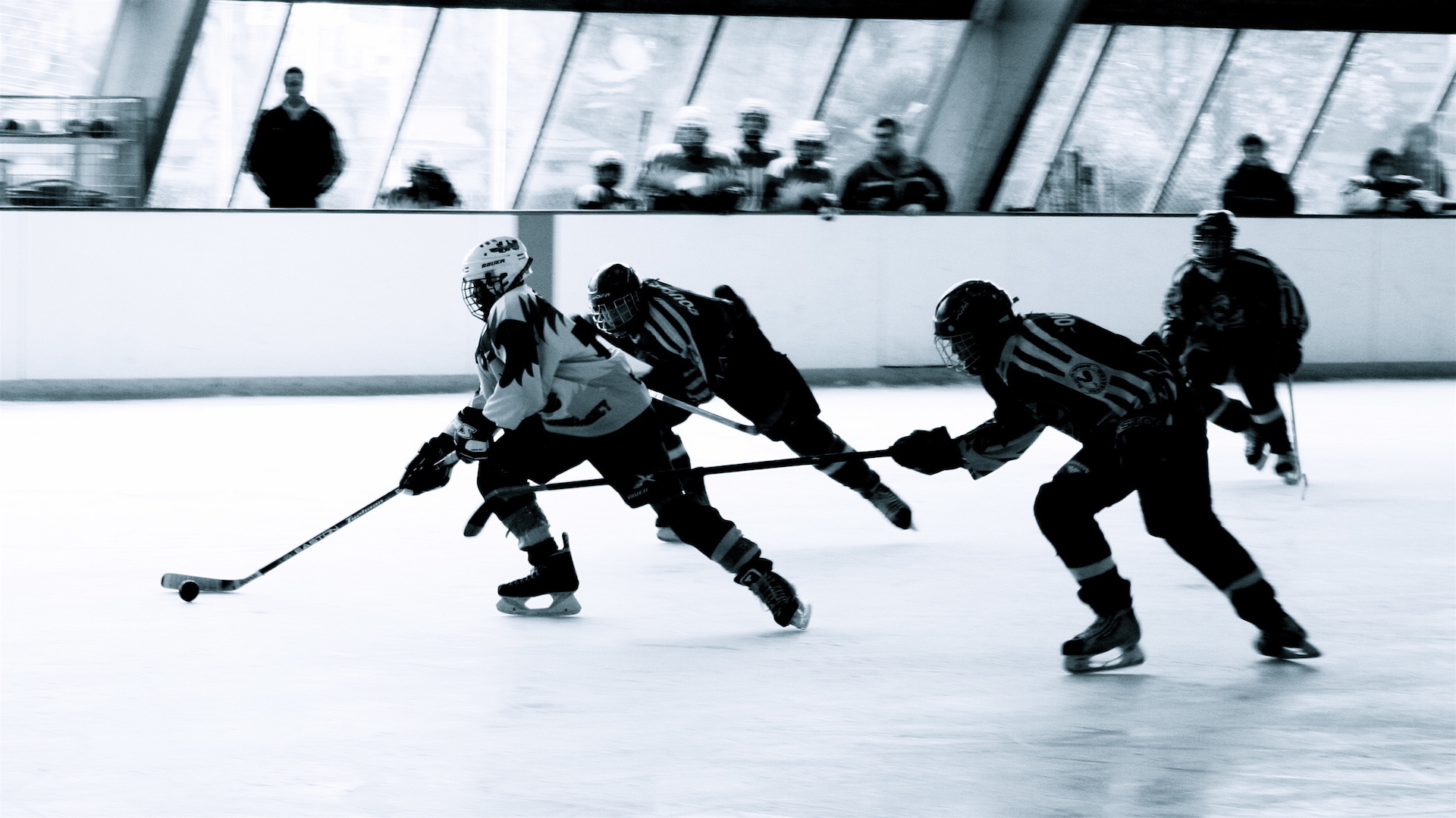 Buying Insurance For Sports Facilities In Canada - ALIGNED Insurance